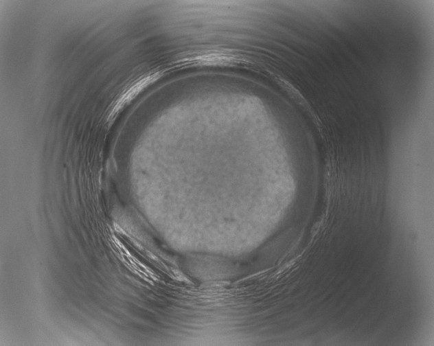 X0000085730930200703301357