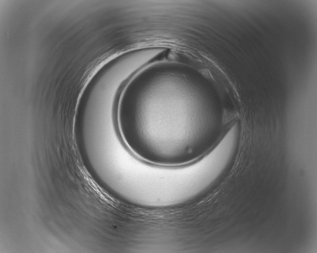 X0000085730932200703301357