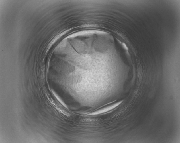 X0000085730933200703301357