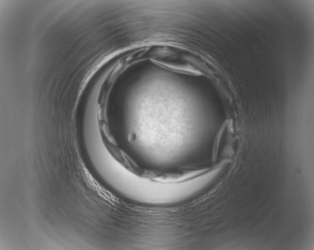 X0000085730934200703301357