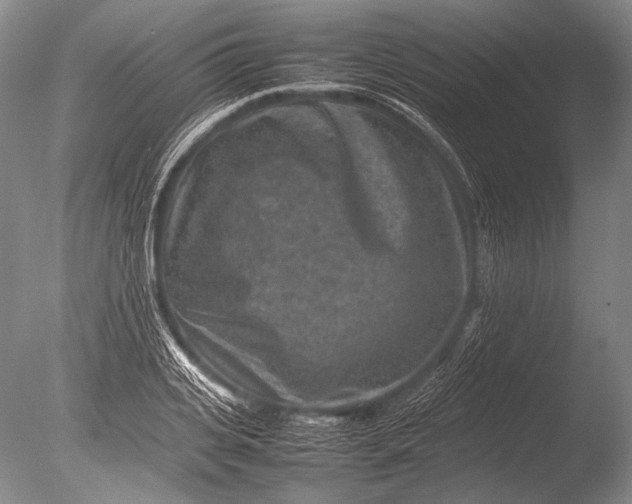 X0000085730935200703301357