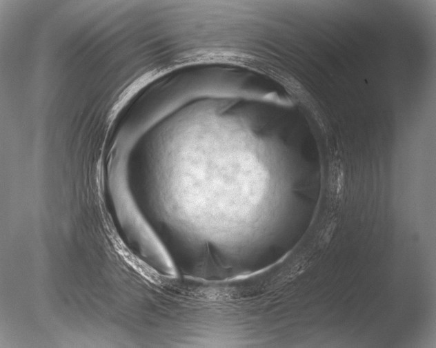 X0000085730936200703301357