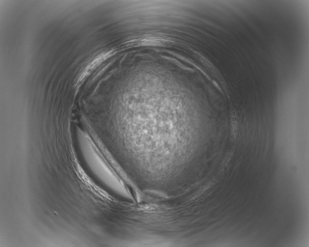 X0000085730938200703301357