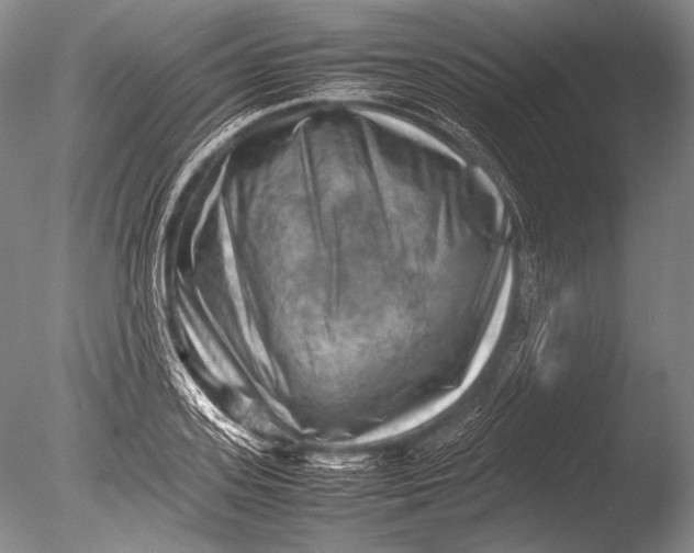 X0000085730939200703301357