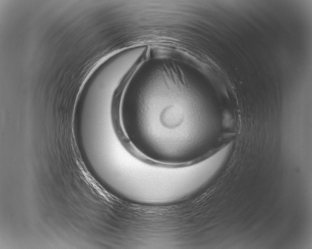 X0000085730940200703301357