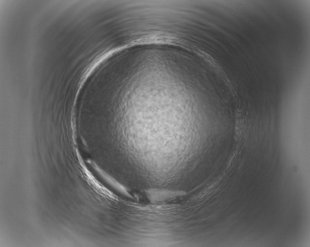 X0000085730942200703301357