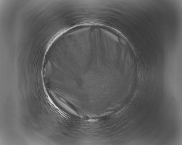 X0000085730943200703301358