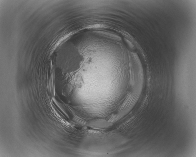 X0000085730945200703301358