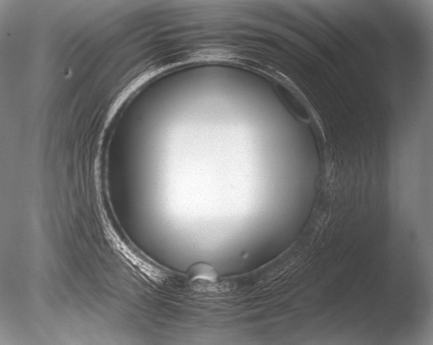 X0000085730947200703301358