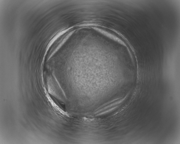 X0000085730949200703301358