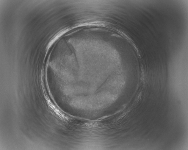 X0000085730952200703301358