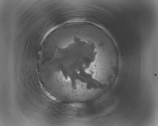 X0000085730953200703301358