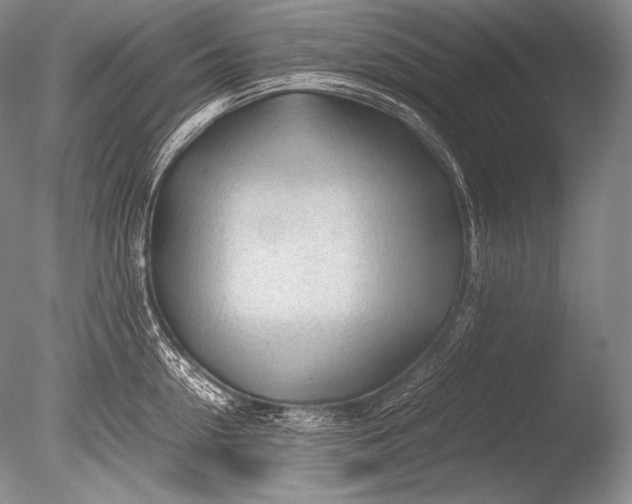 X0000085730954200703301358