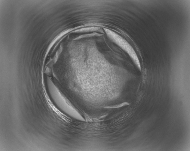 X0000085730955200703301358