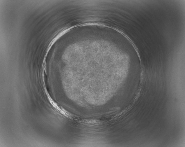 X0000085730957200703301358