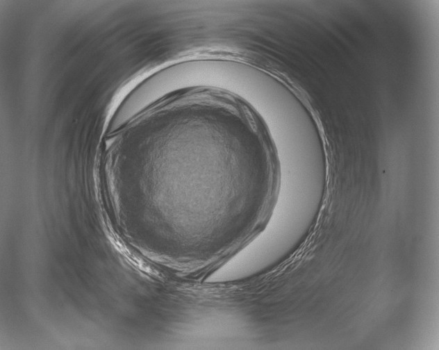 X0000085730960200703301358