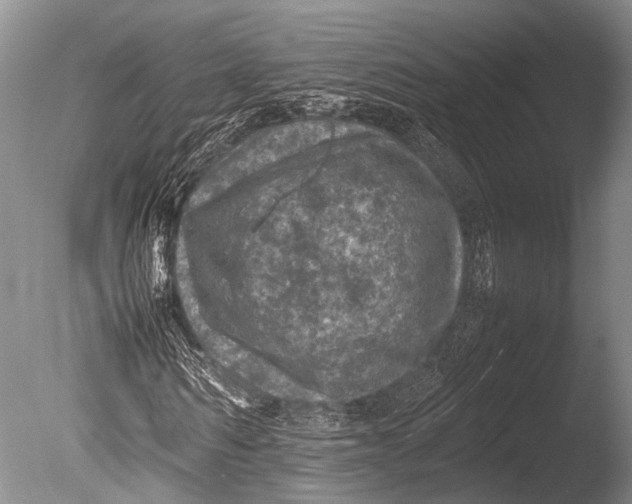 X0000085730962200703301357