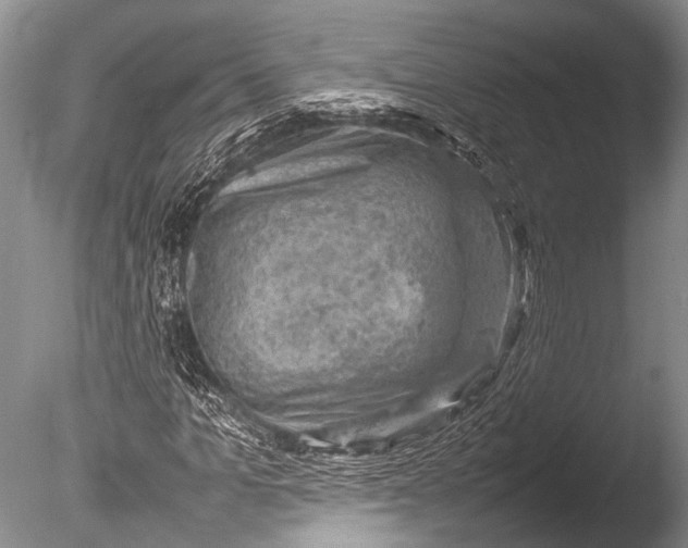 X0000085730965200703301357