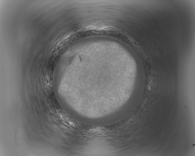 X0000085730966200703301357