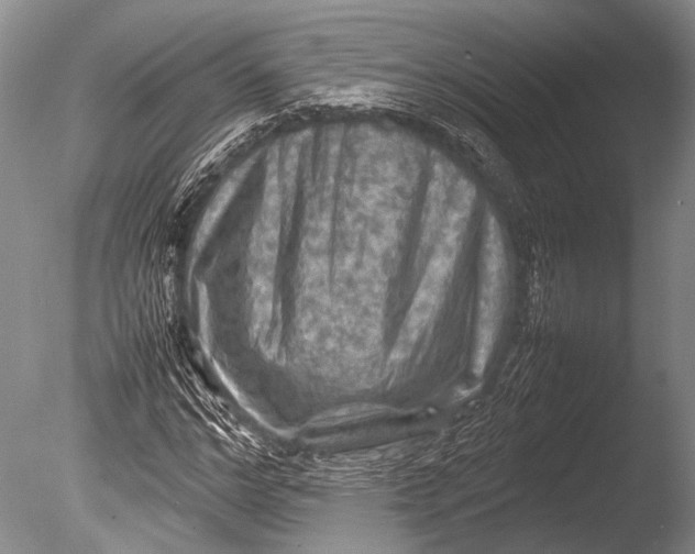 X0000085730968200703301357