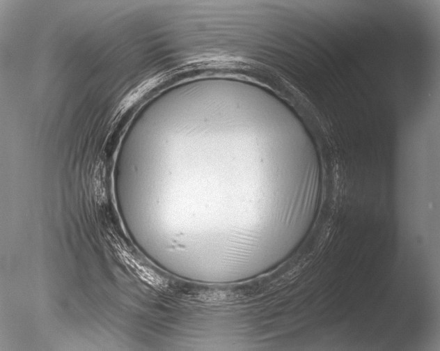 X0000085730970200703301357