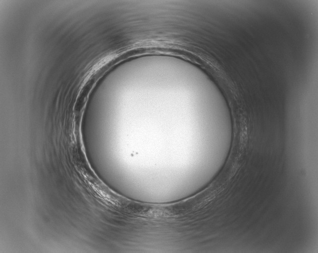 X0000085730974200703301357