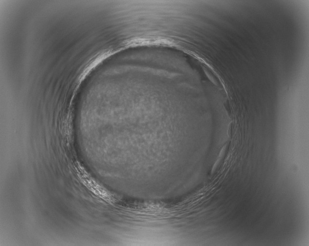 X0000085730975200703301357