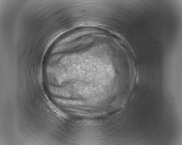 X0000085730976200703301357