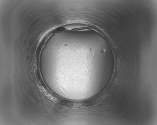 X0000085730979200703301357