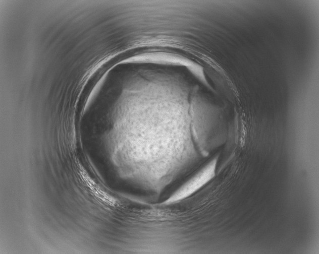 X0000085730980200703301357