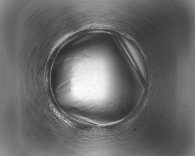 X0000085730981200703301357