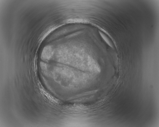 X0000085730983200703301357