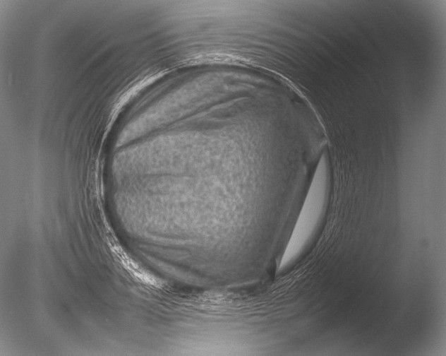 X0000085730987200703301357