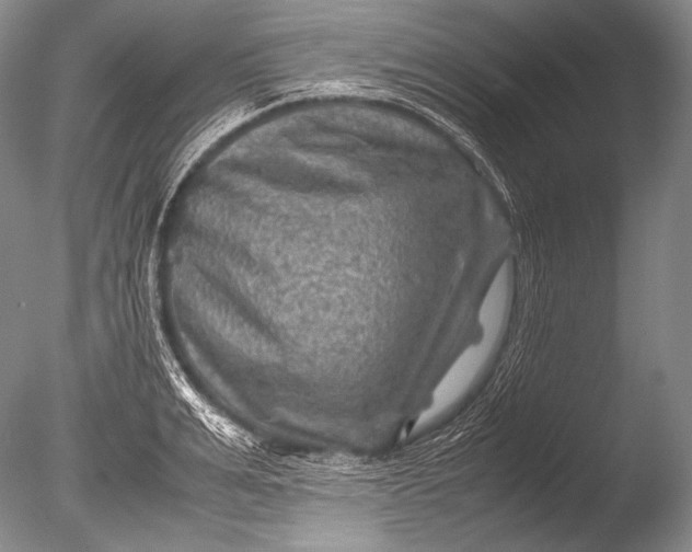 X0000085730991200703301356