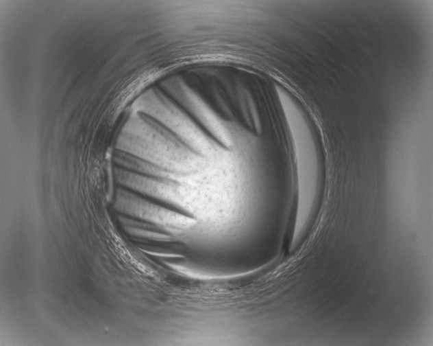 X0000085730993200703301356