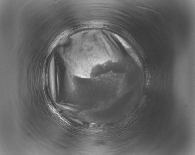 X0000085730994200703301356