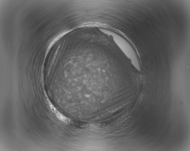 X0000085730995200703301356