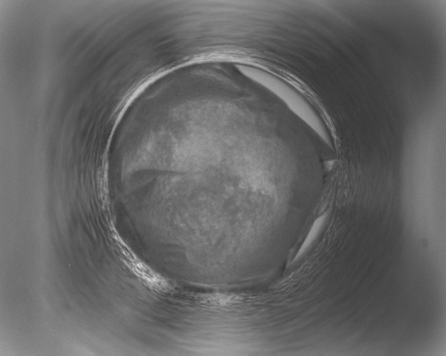 X0000085730996200703301356