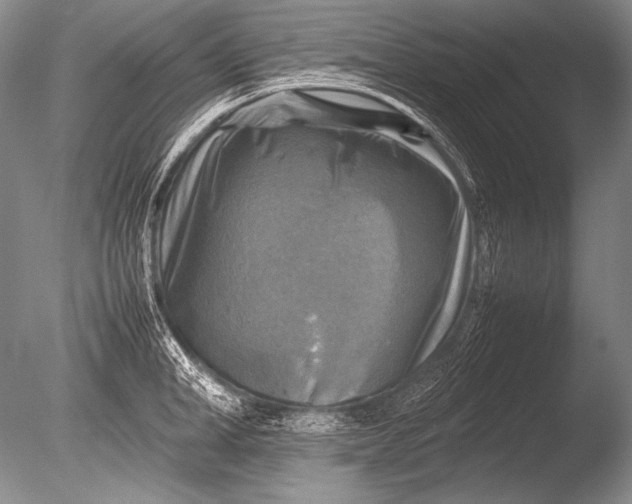 X0000085730998200703301356