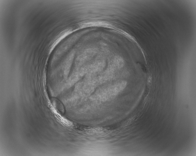 X0000085730999200703301356