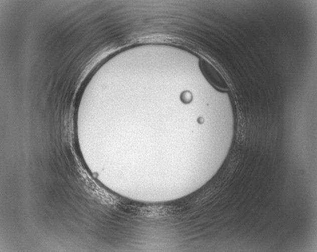 X0000085731000200703301356