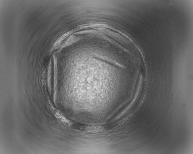 X0000085731001200703301356