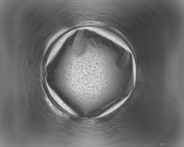 X0000085731003200703301356