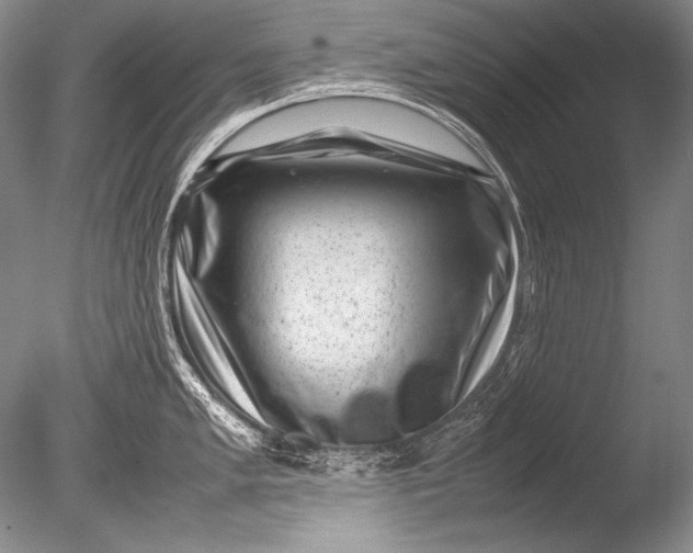 X0000085731005200703301356