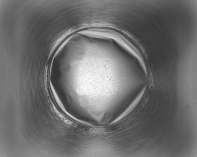 X0000085731006200703301356