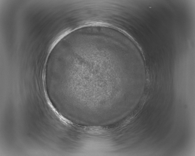 X0000085731007200703301356