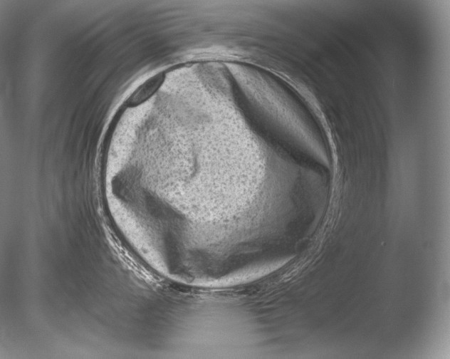 X0000085731008200703301356