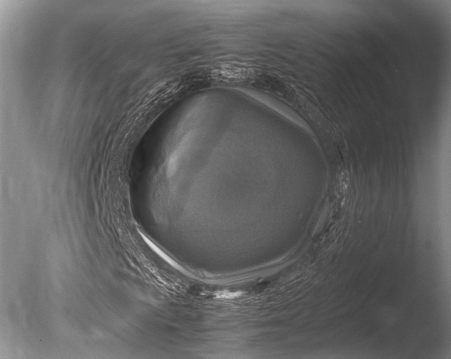 X0000085731009200703301355