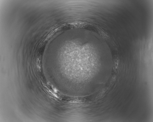 X0000085731010200703301355