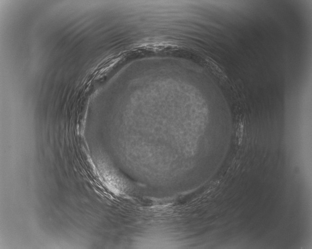 X0000085731014200703301355